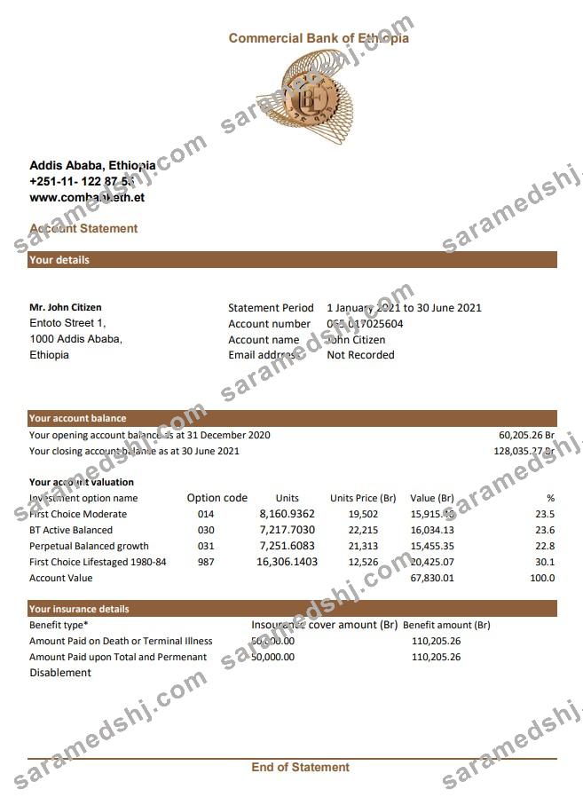 Ethiopia Commercial Bank statement easy to fill template in Excel and PDF format